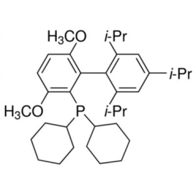 BrettPhos CAS 1070663-78-3